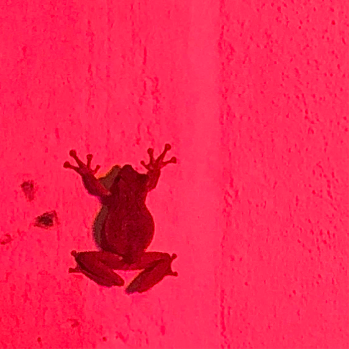 I Am Not Myself Album